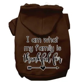 I Am What My Family Is Thankful For Screen Print Dog Hoodie Brown Xs