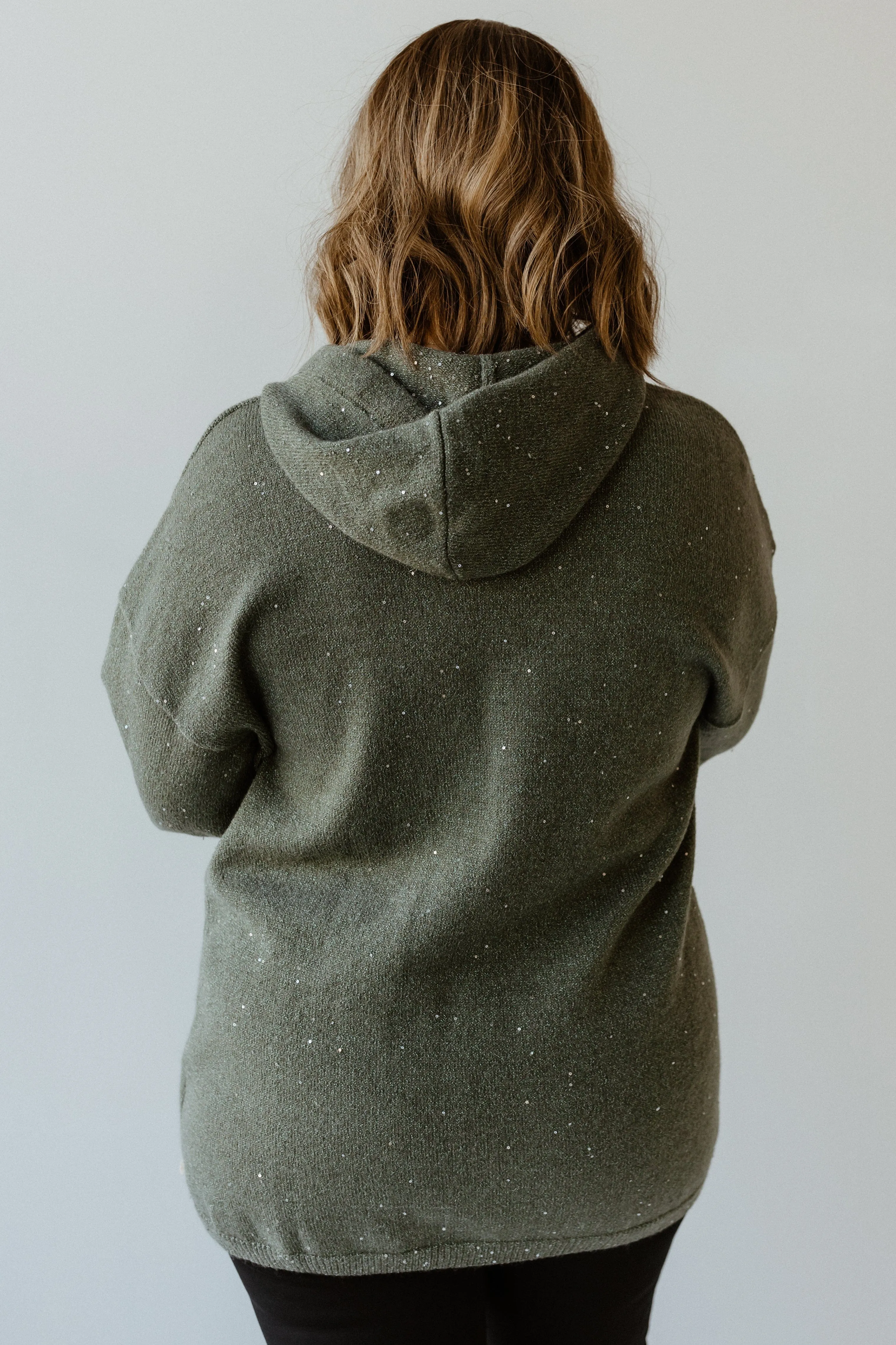 SHIMMERY SPARKLE HOODIE IN EVERGREEN FOG